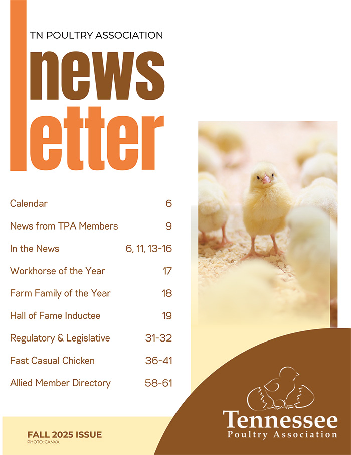 Newsletter Cover Image
